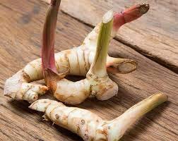 Neotea Neotea Greater Galangal, Siththarathi Plant Seed 200 G