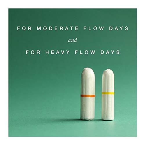 FLOH FLOH FDA Approved Regular Tampons For Women Regular Flow Pack of 2 (20 Pieces)