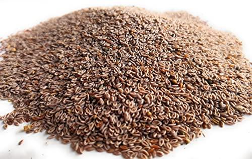 Ayushiv Ayushiv ISABGOL SEEDS (Plantago ovata) -Psyllium husk- Isabgol aka (250 GM)