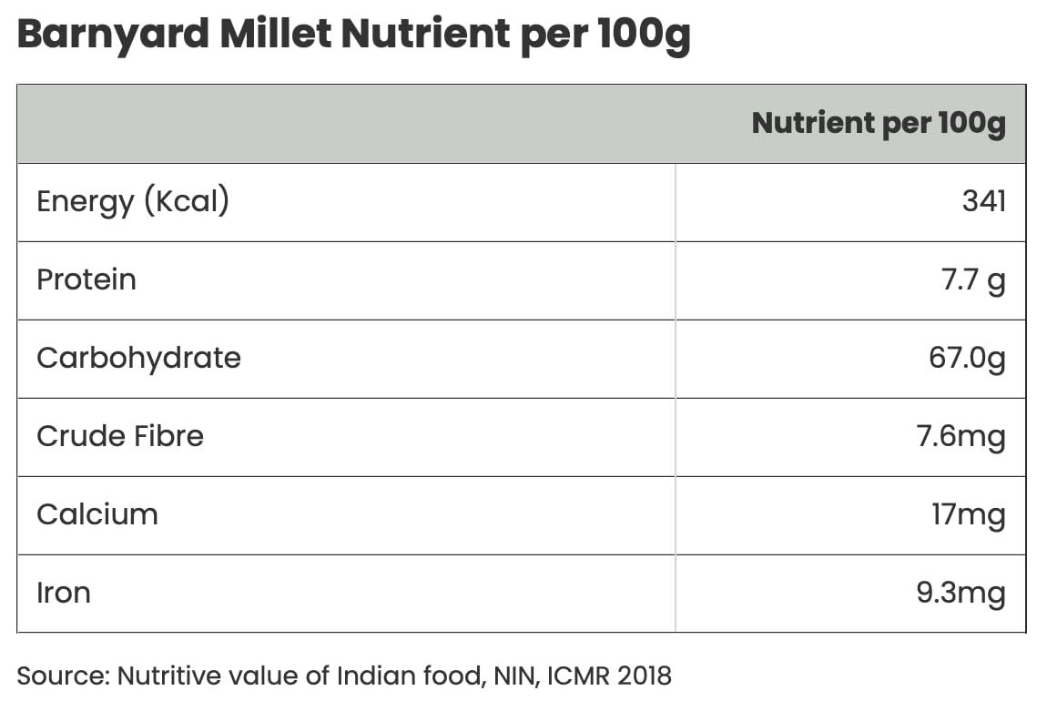 Youpick Aplenty Samak Chawal 400g | Sama Rice For Fast | Samvat Ke Chawal | Barnyard Millet | Vari | Bhagar for Vrat | Navratri Upwas Rice | ( / )