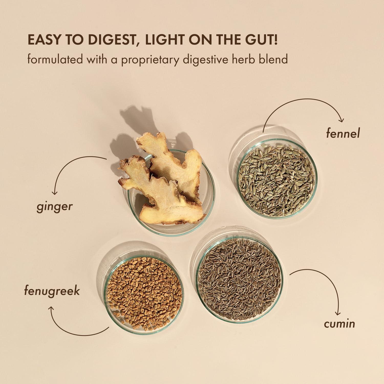 cosmix Cosmix No Nonsense Plant Protein - Organic Pea & Rice Isolate | Gut Friendly Superfoods | Complete Amino Acid Profile | Easy Digestion | 24g Protein/Sachet| Vegan | Matcha (Pack of 6)