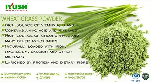 IYUSH Herbal Ayurveda IYUSH Herbal Ayurveda Wheat Grass Powder - 500gm (Rich in Chlorophyll, Antioxidants, Fatty Acids, Fibers and Minerals)
