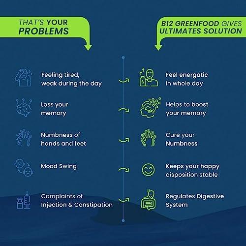 Vichip B12 Green Food Powder 100 gms | 100% Natural Plant Based Vitamin B12 Supplement for Men & Women | No Preservatives