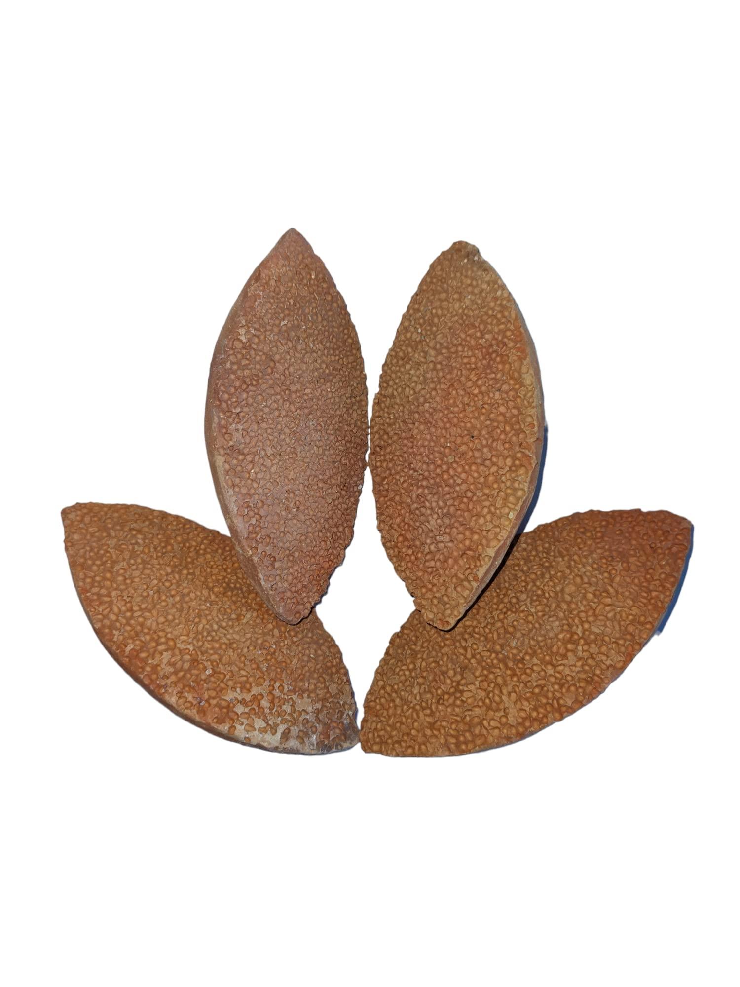 Claymper Claymper 100% Natural Mitti Ka Jhama, Melkhora, Pumice Stone Foot Scrubber - Dead Skin Remover for Women and Men (Pack of 4)