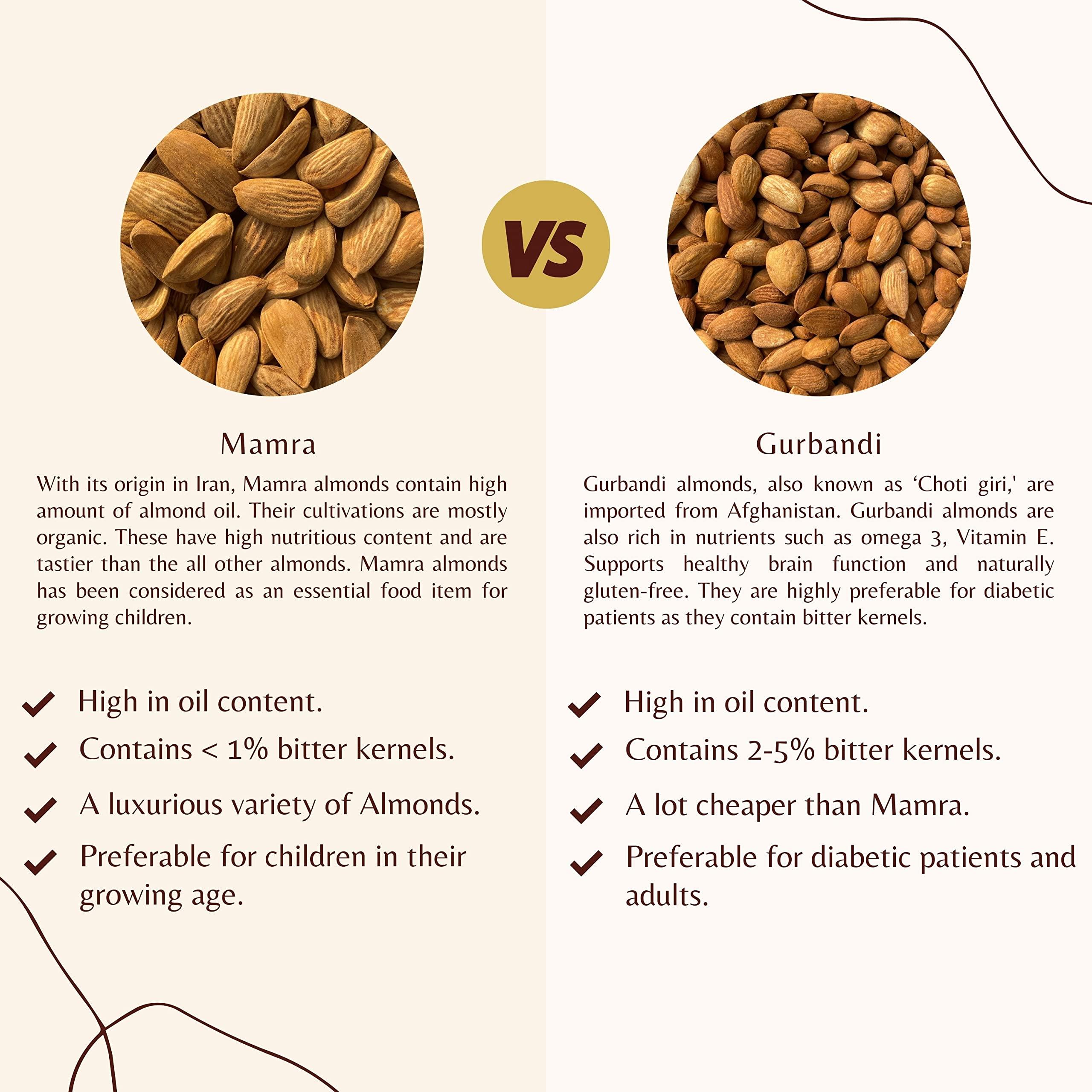 Sindhi Sindhi Dry Fruits Jumbo Mamra Badam, 5 Star Quality Mamra Almonds, Pure Mamra Without Shells, High Oil Content, 500 Grams