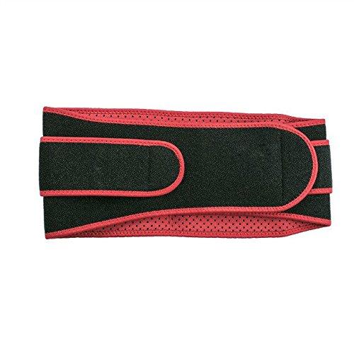 SPARSH 4.0 \'SPARSH 4.0\' Medium Size Back Belt Excellent Support for waist size 29-36, For Ladies & Gents. With Four Strap support system.