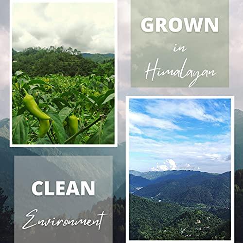 O'IJA OIJA Pahadi Ginger Pickle, By Mrs Madhu Pandey, Preservatives Free | Homegrown Ingredients | Immunity Boosting Pickle | Adrak Achar