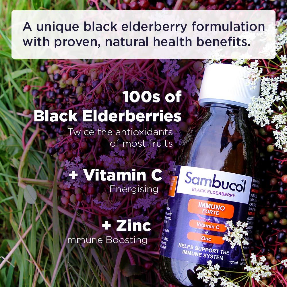 Sambucol Sambucol 120ml Immuno Forte Liquid by SAMBUCOL Black Elderberry Liqu