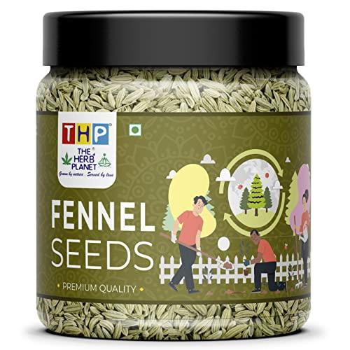 THE HERB PLANET THE HERB PLANET Natural Fennel Seeds Saunf 800 gms | Variyali | Sounf Green Thin Aniseeds| Jar Pack