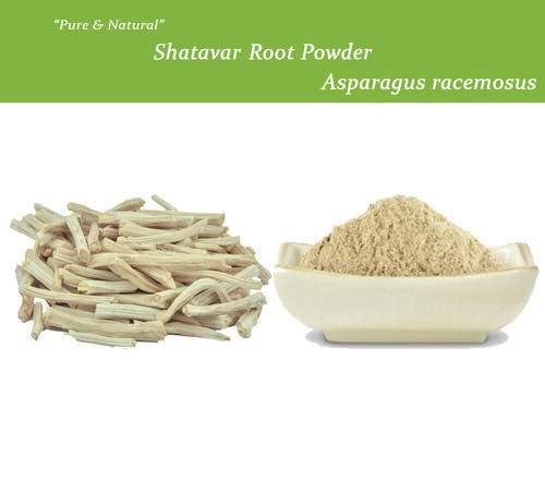 SHOBHASAVI AYURVEDICS AND AGROS Shobhasavi Original Shatavari Powder - 1000g | Asparagus Racemosus