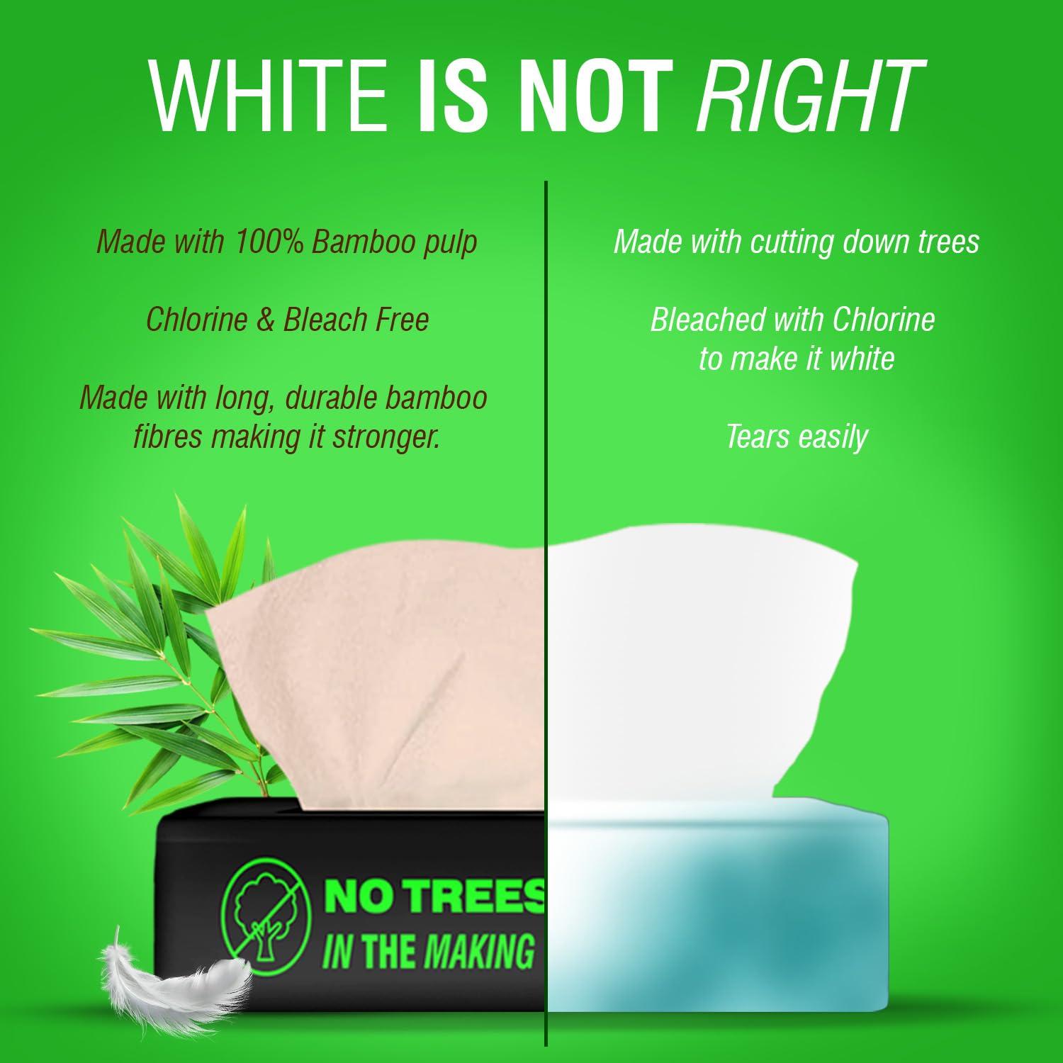 Beco Beco Bamboo Super Soft Facial Tissue 100 Pulls (Pack of 12), 1200 Pulls 2 ply 100% Natural and Ecofriendly