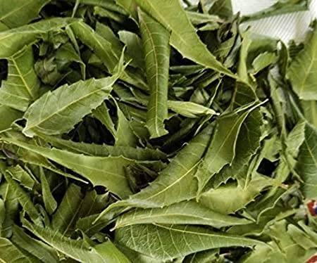 NavaFresh Basics Organics Neem leaves granules - 100 gms