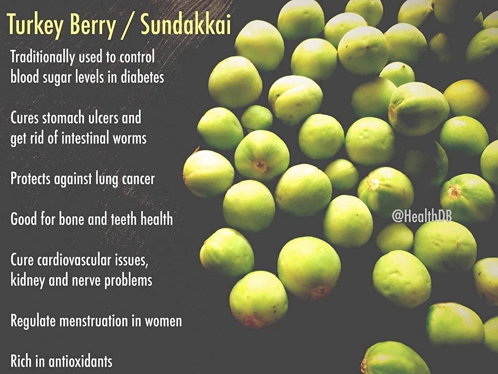 Seema Seema Sun Dried Turkey Berry, 250 Grams (sundakkai Vathal)