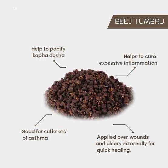 Ayurvedic Zone AYURVEDIC ZONE Tomar Seeds and Powder - Tomar Beej - Tumbru - Tomar - Timur - Tomru - Nepali Dhania - Zanthoxylum Alatum Plant Seeds (Seeds, 100 gm)