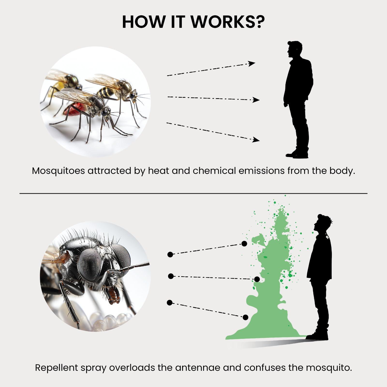 Col. Conk Products Colonel Conk No.931 Double Edge Safety Razor