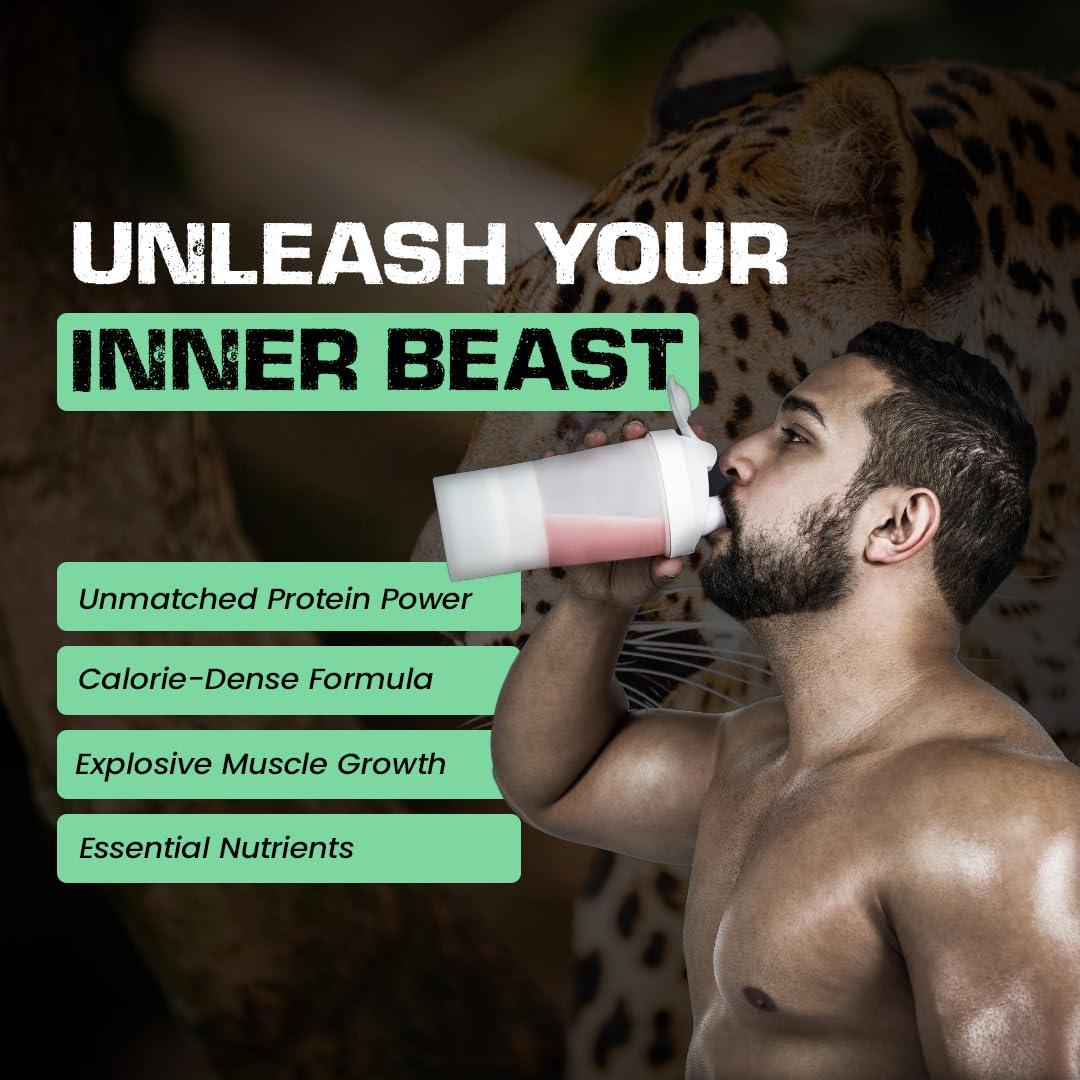 msn MSN TRUE MASS PLATINUM SERIES(6lbs) Weight gainer (strawberry)