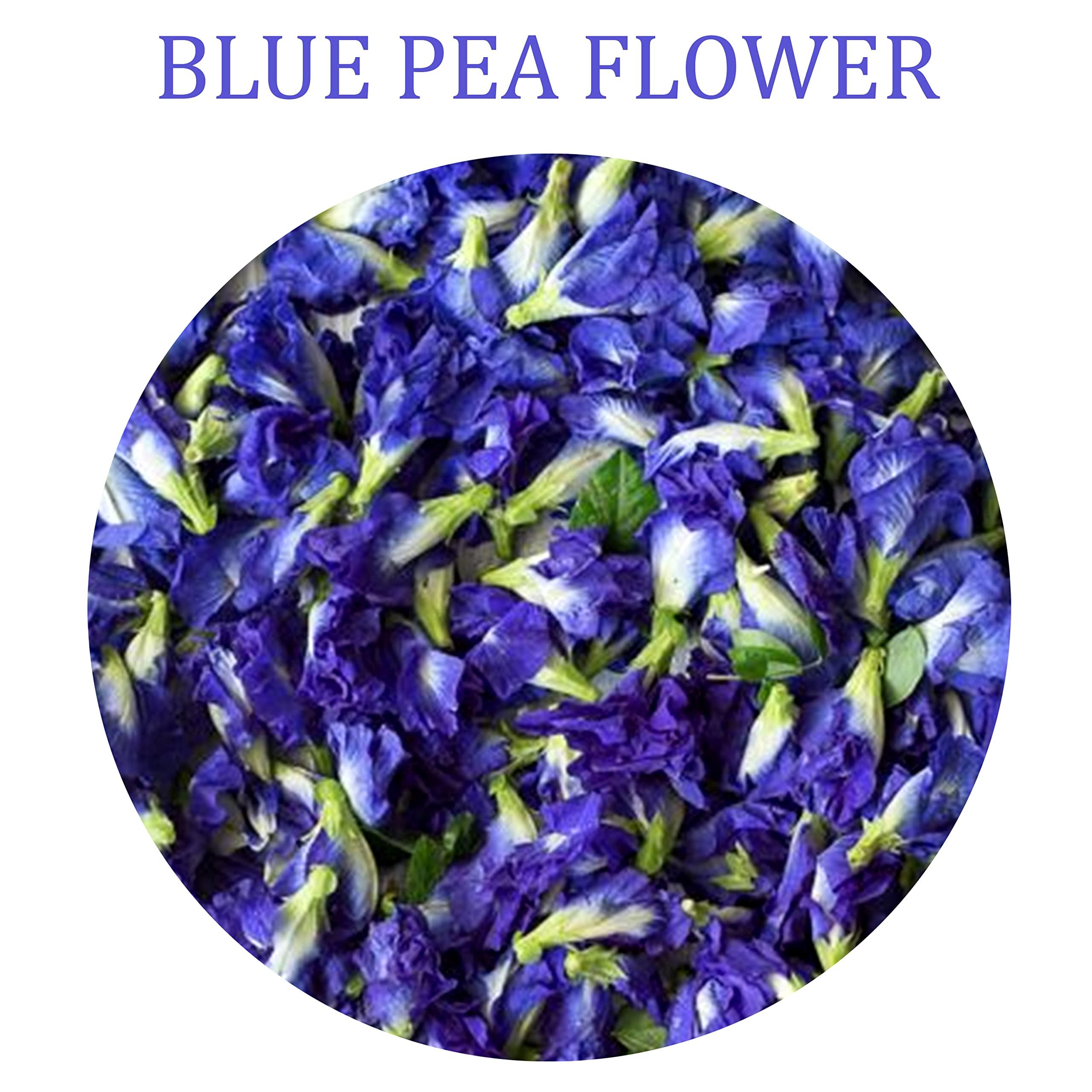MITHILA ESSENCE MITHILA ESSENCE TEA - Exotic Butterfly Pea Flower Tea | High on Anti-oxidants| Caffeine Free Herbal Tea | Dried Butterfly Pea Flower | Tisane Tea100 gm (Pack of 1)