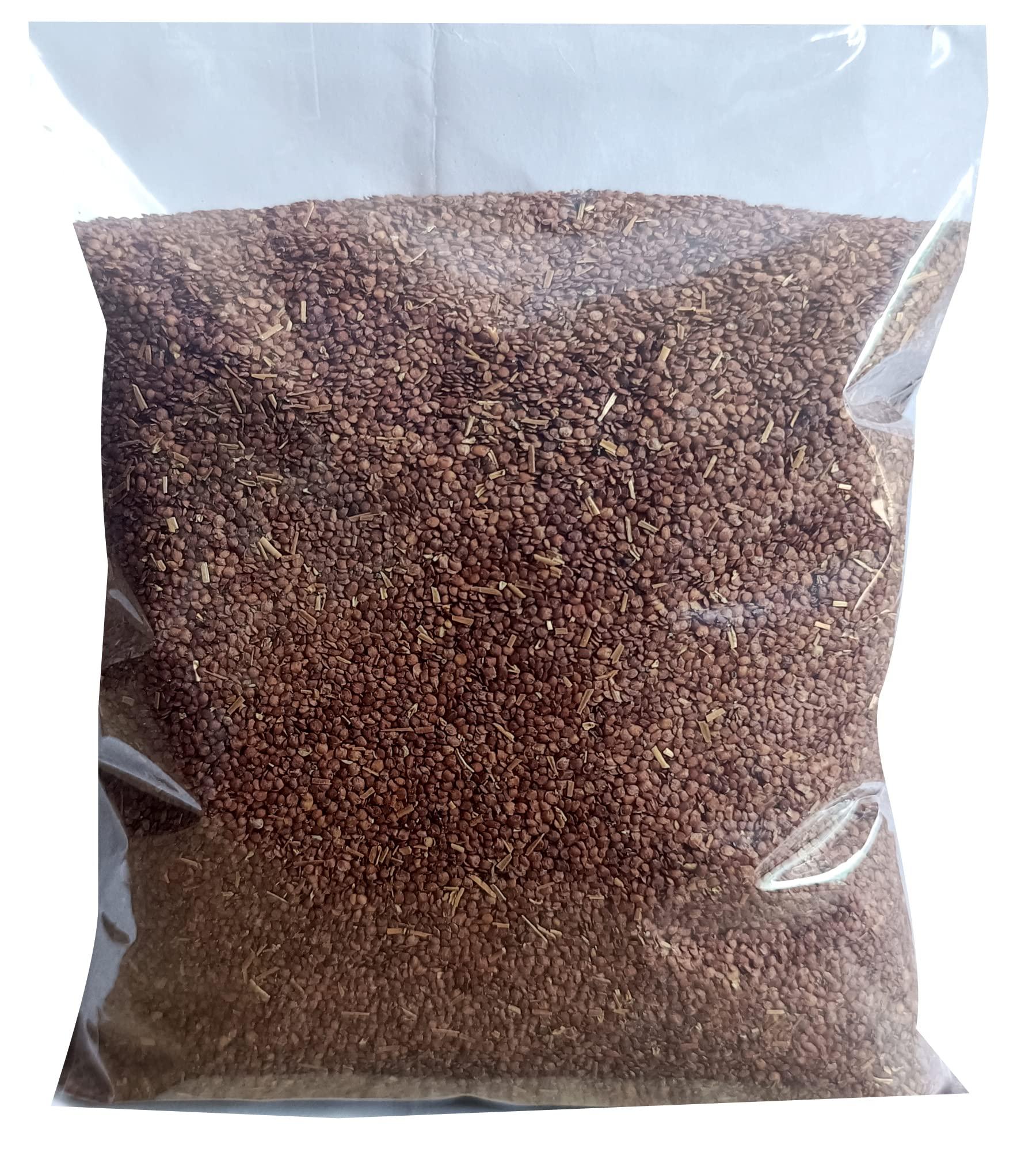 VS Products VS Products Neermulli | Hygrophila auriculata | Marsh Barbel | Kokilaksha Seed, 800g