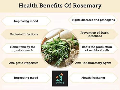 LEANBEING Leanbeing Organic Rosemary Leaves 50Gm For Seasoning,Culinary Use And Reducing Stress