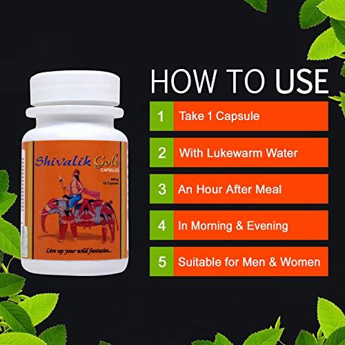 Shivalik Herbals Shivalik Gold 40 Caps- Nyaa Josh, Bharpoor Shakti and Natural Health- Complete Health For Men