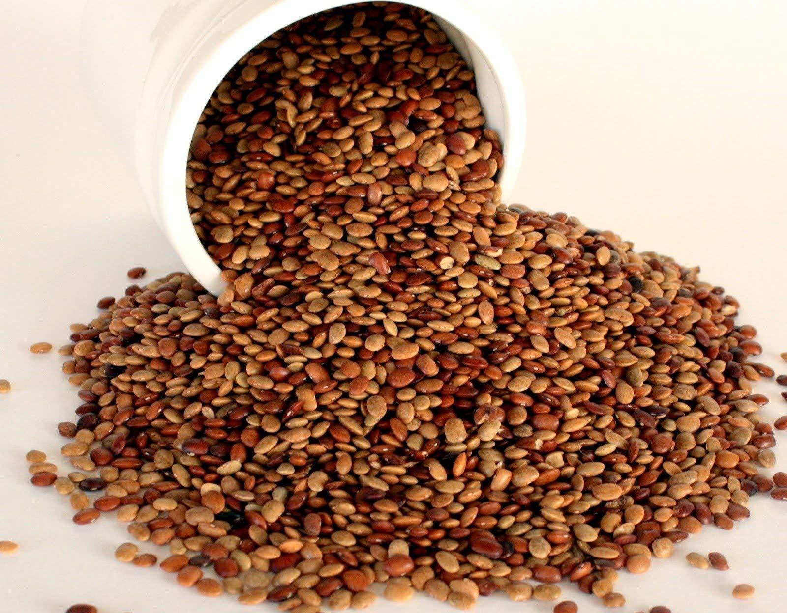 Zone Marketing Organic kollu / Ulavalu / Kuleeth / Macrotyloma Uniflorum / Kulthi Dal / Horse Gram -1000 g by Zone Marketing