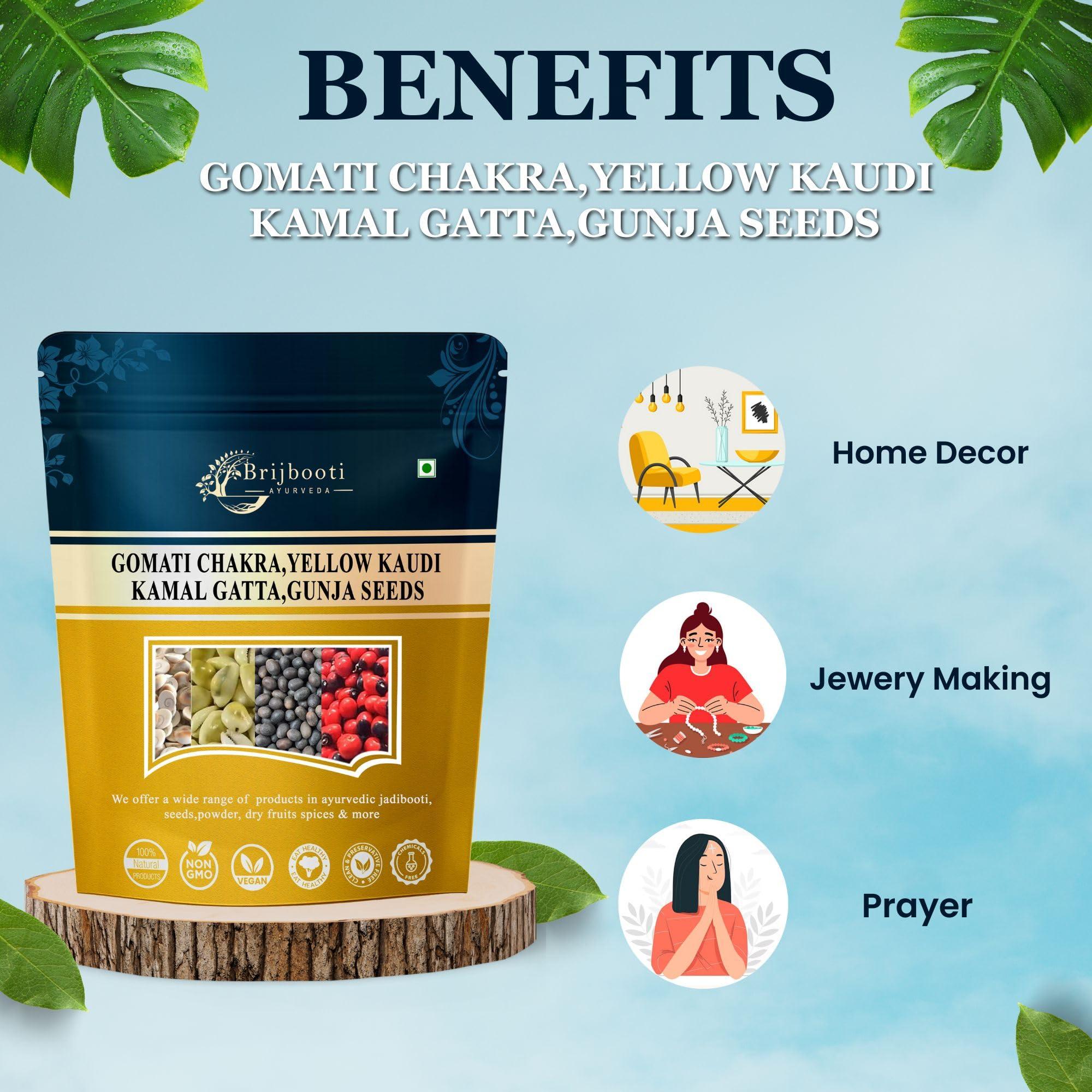 BrijBooti BrijBooti Combo Pack of Gomti Chakra - Pili Kaudi - Kamal Gatta - Gunja Seeds 11 Pieces Each for Lakshmi Pooja, Wealth & Luck