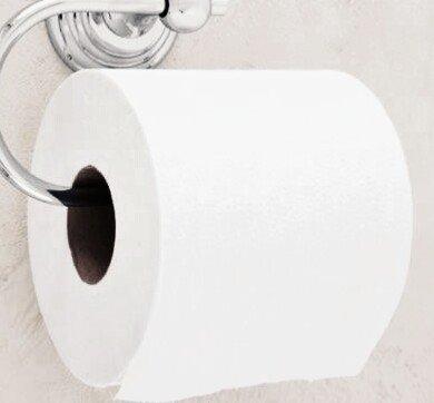 Dannu Toilet Tissue Paper (Set of 2), 2-ply Soft Absorbent,