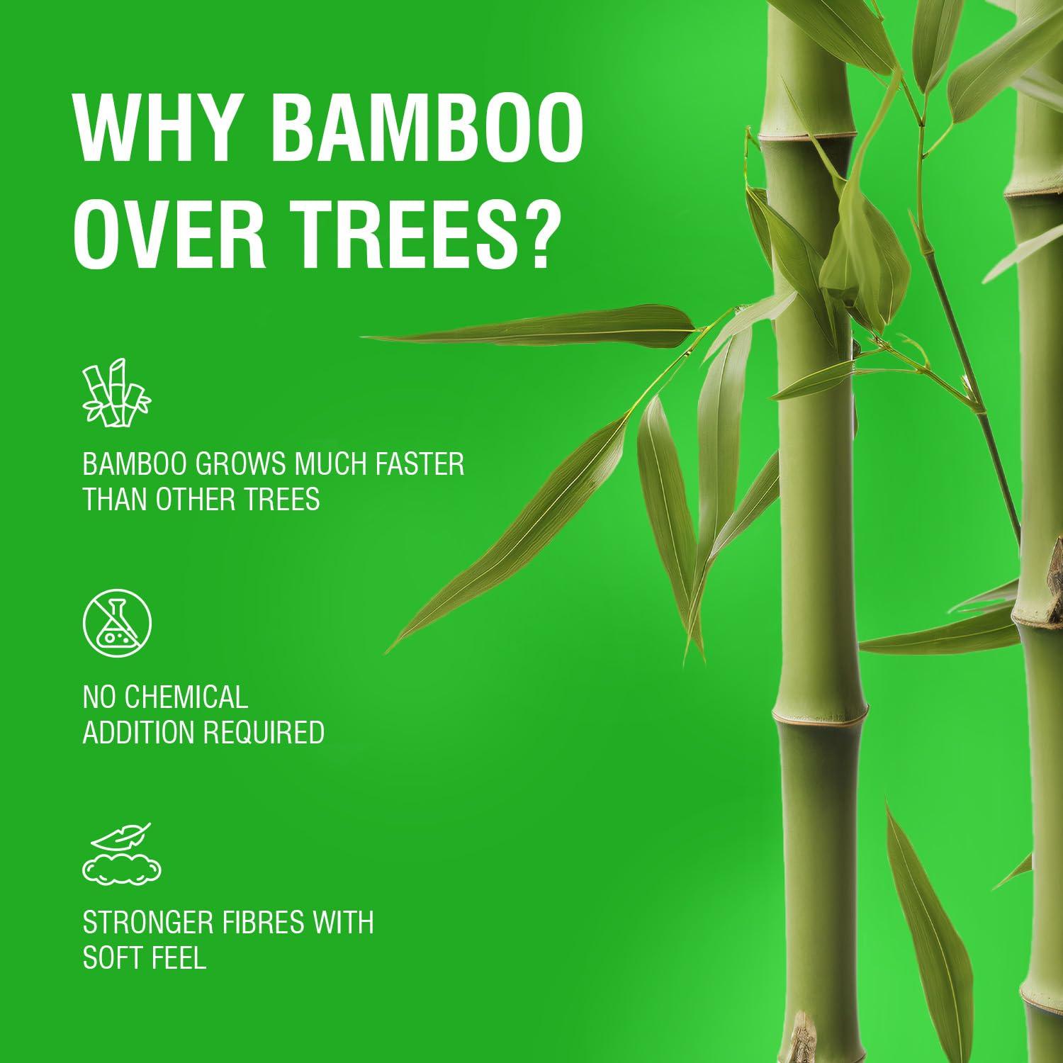 Beco Beco Bamboo Super Soft Facial Tissue 100 Pulls (Pack of 12), 1200 Pulls 2 ply 100% Natural and Ecofriendly
