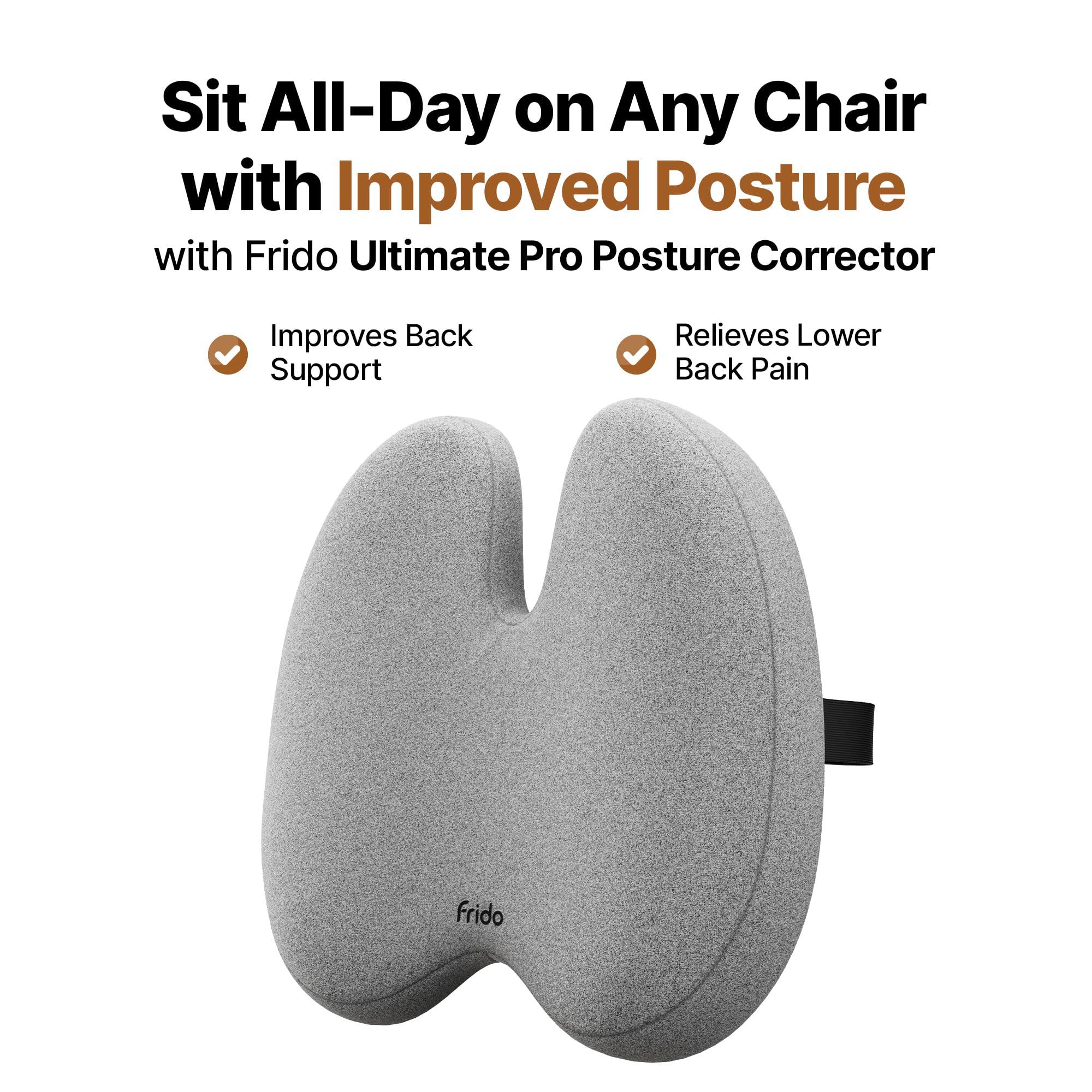 Frido Frido Ultimate Pro Seat Cushion & Posture Corrector Backrest Cushion Combo, Relieves Back, Coccyx Pain, Hi-Per Foam Tech for Orthopedic Support, for Long Sitting Hours on Office/Home Chair, Grey