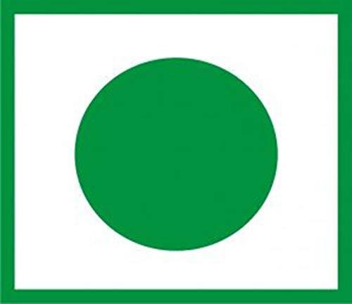 Ashoka Ashoka 100% Natural Corn Flour Powder 100 gm, Corn Starch, Cholam Powder, Makkai Flour (Pack of 5)