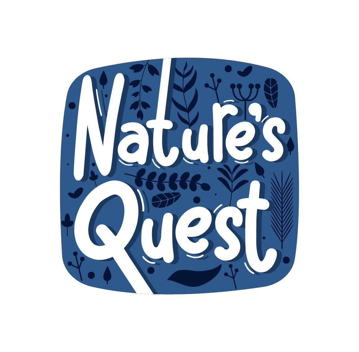 Nature\'s Quest Nature\'s Quest Organic Bajra Flour | Bajra Sabut| Pearl Millet Flour| Bajra Atta| Bajra ka Atta|Sajje| Kambu Mavu| Organic Flour| Gluten Free Atta| High Protein & 100% More Fibre 900 Gms