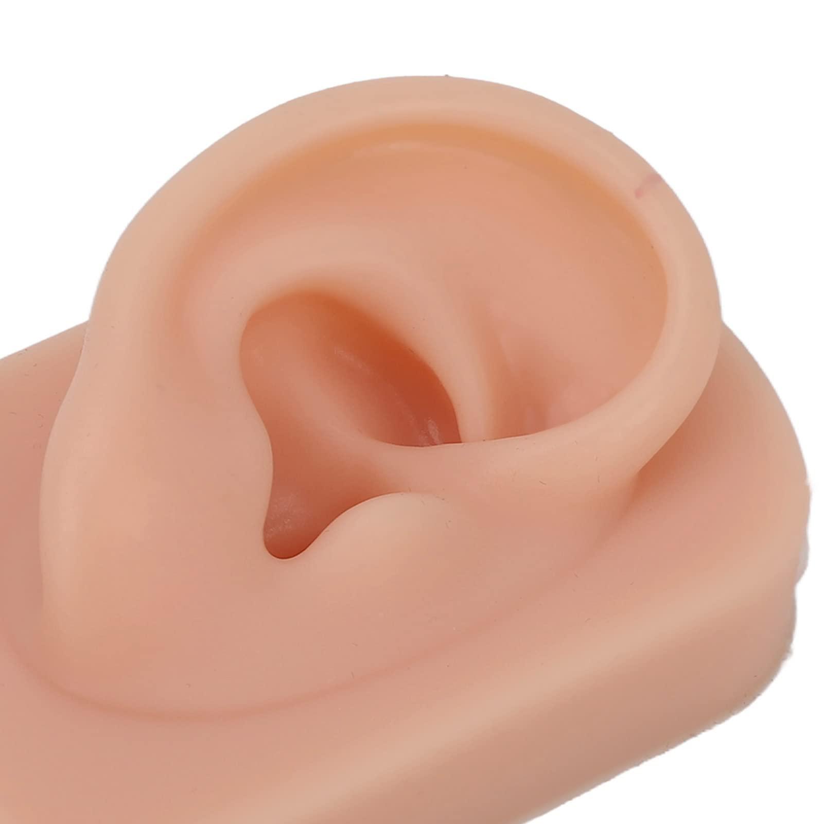 Bannt Fake Ear Model, Easy To Use Right Ear Flexible Silicone Human Ear Model for Earrings Display for Ear Piercing Training Dark Complexion