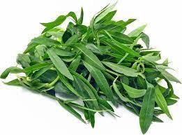 SAARA Saara HERBAL FRESH Ponnankanni Keerai Powder,101g, Ponnaganti, Matsyaakshi, Gudari Saag, Sessile Joyweed, Dwarf Copper Leaf Powder, 101g (Pack of 1 x 101g)