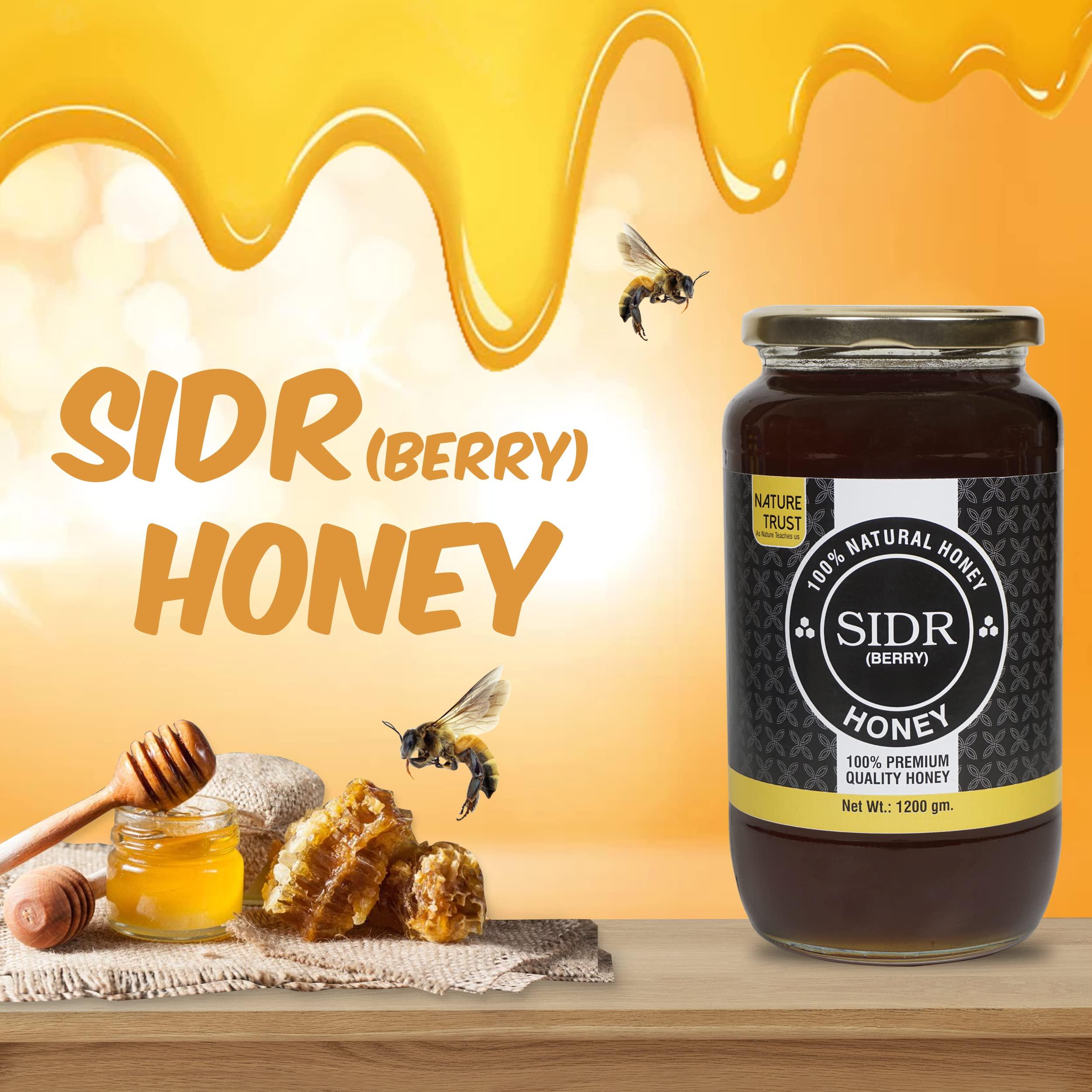 NATURE TRUST NATURE TRUST Natural-SIDR 1200g pack of 2 Pure & Premium Himalayan &100% Pure & Natural Honey Unprocessed Honey|Pure Organic Raw Honey no preservatives|no Added Sugar (1.2kg Pack of 2)