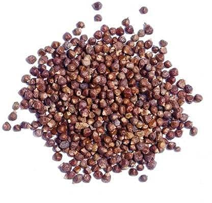 FRENUTRI FRENUTRI Timur | Tumbru Beej/Seed | Nepali Dhania - 200 gm