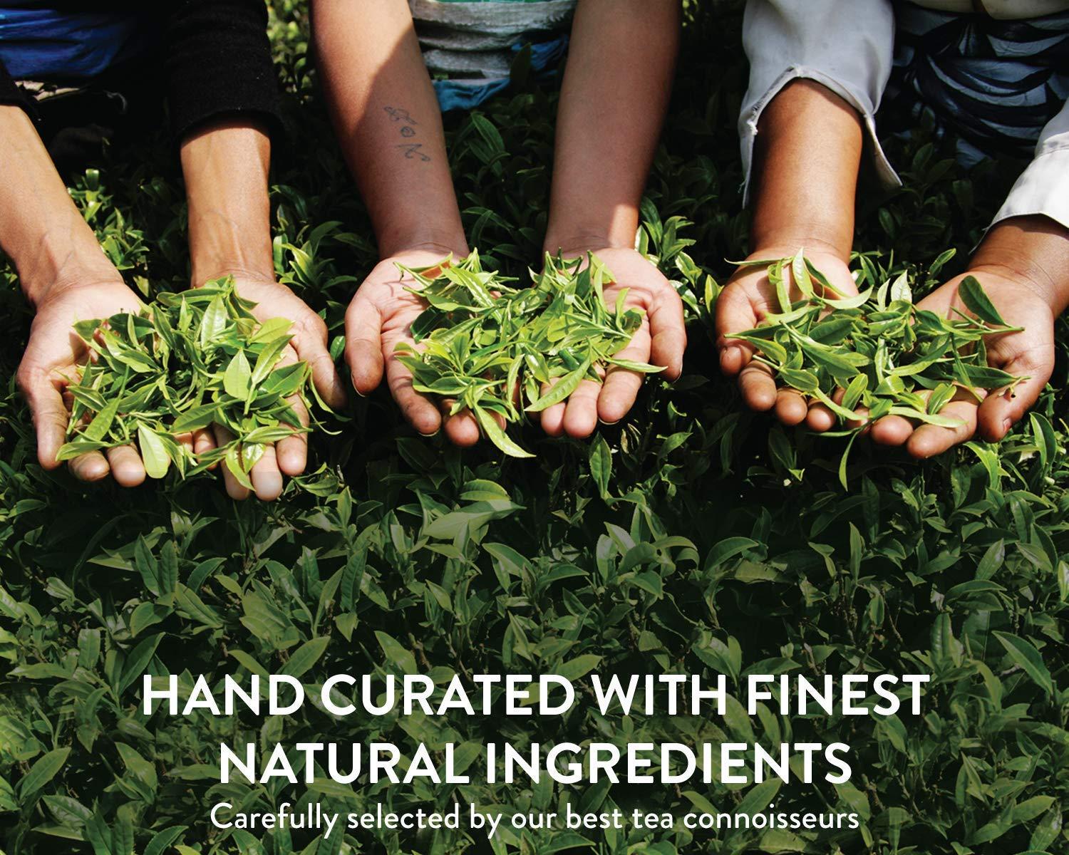 Teamonk Teamonk - Tapas Oolong Tea Leaves 150g (Makes 75 Cups) | USDA Certified Organic Darjeeling Tea | Pure and Herbal Tea | Promotes Overall Wellbeing | No Oils, Artificial Aroma, or Taste Enhancers