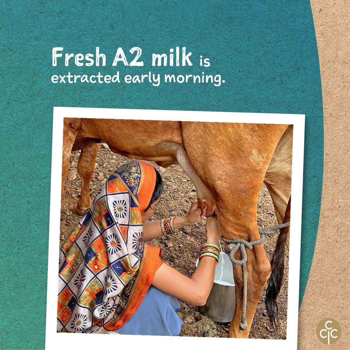 Conscious Food Conscious Food A2 Gir Cow Ghee | 200g | with Pure A2 Milk | Grass-fed, Cultured, Premium & Traditional Bilona Ghee | Immunity Booster