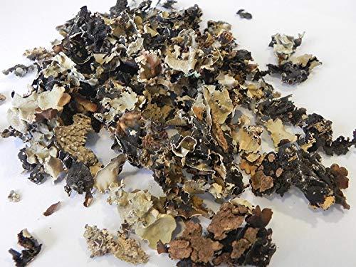 NEERAJ NEERAJ - Stone Flower Spices - Dagad Phool - Kalpasi - Patthar Ke Phool Spice- Permalia Perlata - Rock Flower - Chhabila - 200 Gm