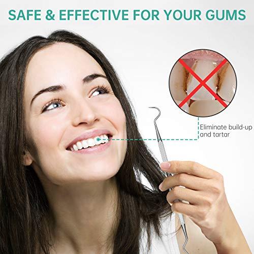 POLKASTORE POLKASTORE Professional Dental Medical Stainless Steel, Pick Scraper Tool 3-Pack