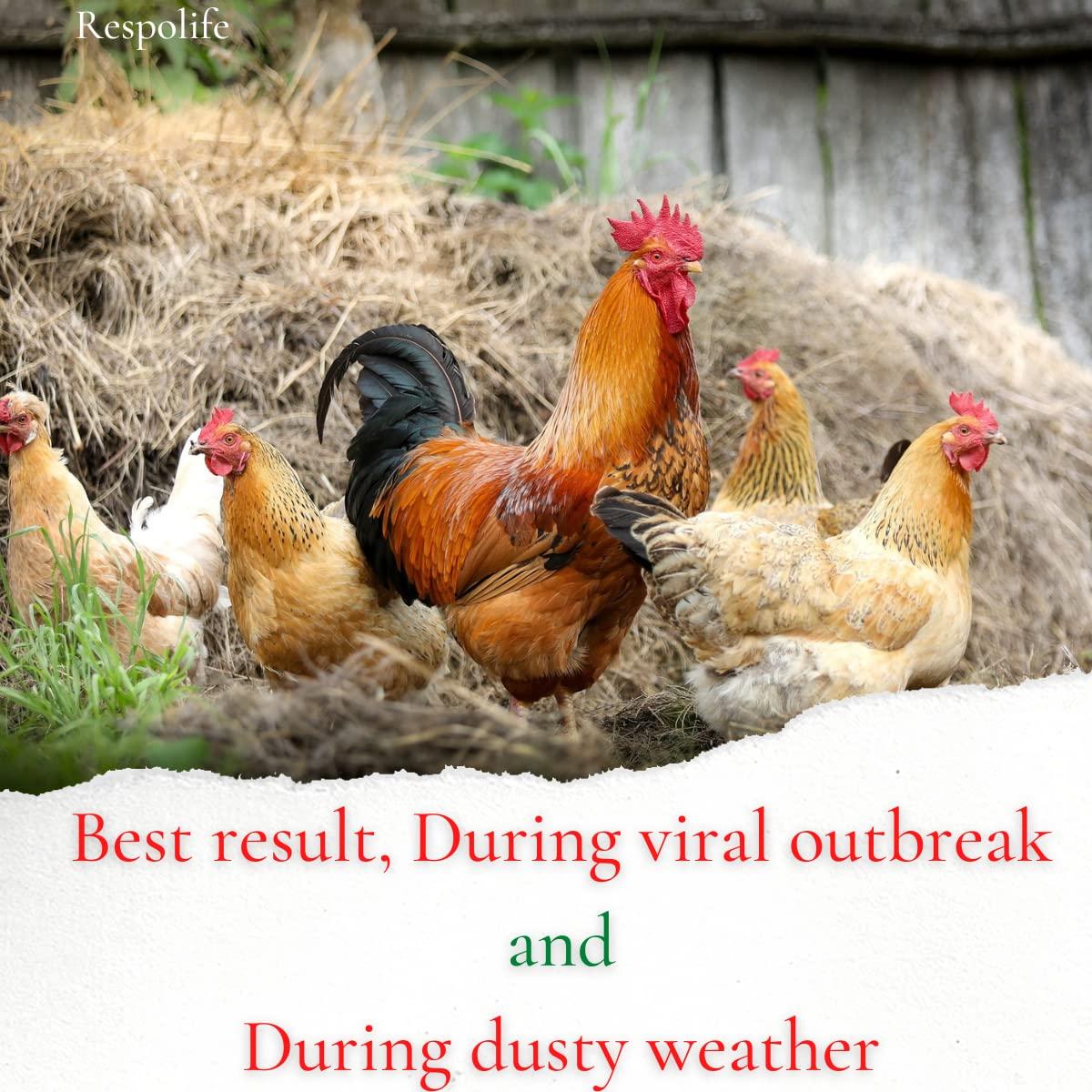 Animals Super Store Respo-Life | Herbal Repository Tonic | Protect from Dusty Weather | Protect from CRD | 5 Litre