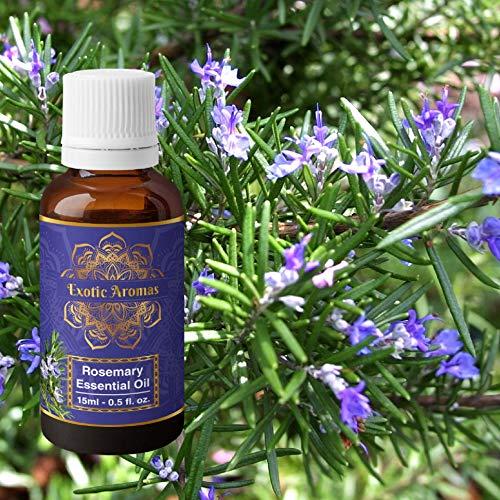Edens Garden Good Morning Synergy Blend Essential Oil by Edens Garden - 10 ml