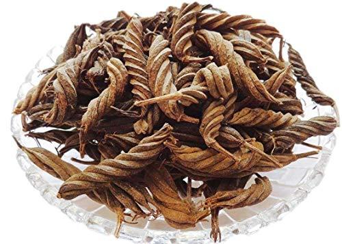 Yuvika YUVIKA Marod Phali - Marori - Helicteres Isora - Avaitini Screw Beans (800 Grams)