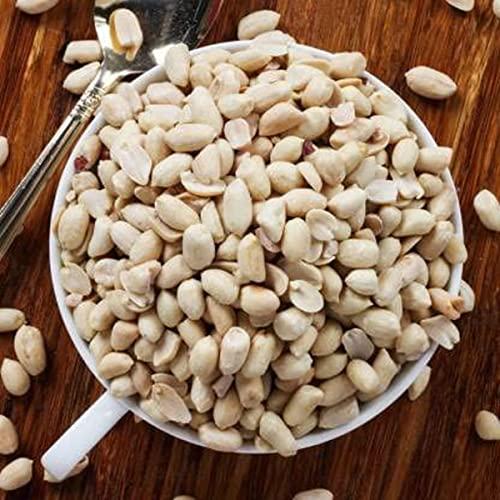 Avenn Avenn Jumbo Salted Peanuts | Gujrat Special Roasted Mungfali | Jumbo Groundnut Singdana Seed | Salted Sing with Husk | Fresh Grade A Bharuch Khari Sing Skin Removed (Peeled Skin, 600 GM)