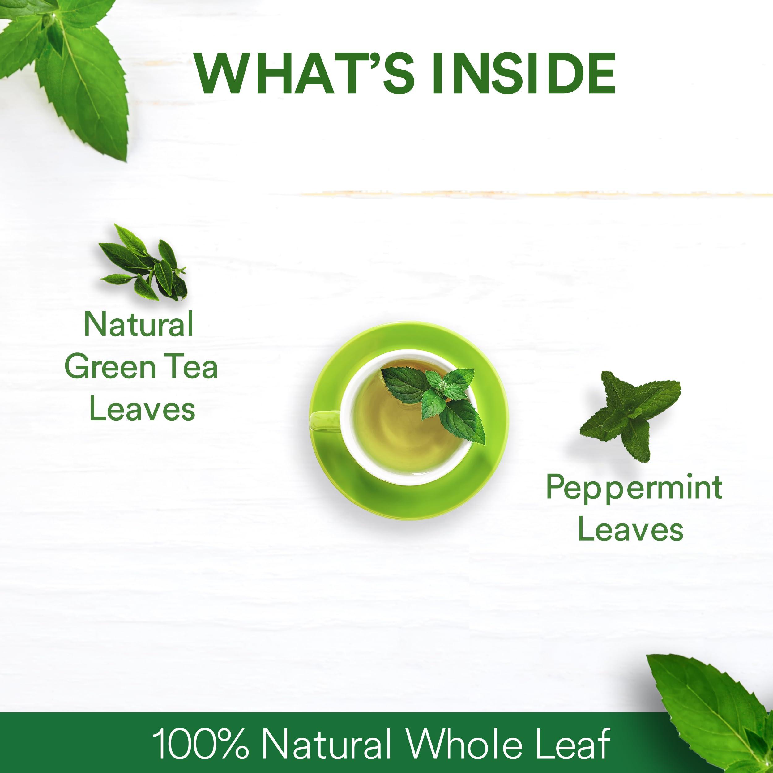 The Tea Ark The Tea Ark Mint Green Tea (50g) Tin Loose Leaves | Natural Herbal Tea | Whole Leaf Blend (25 Servings) (Mint Green Tea)