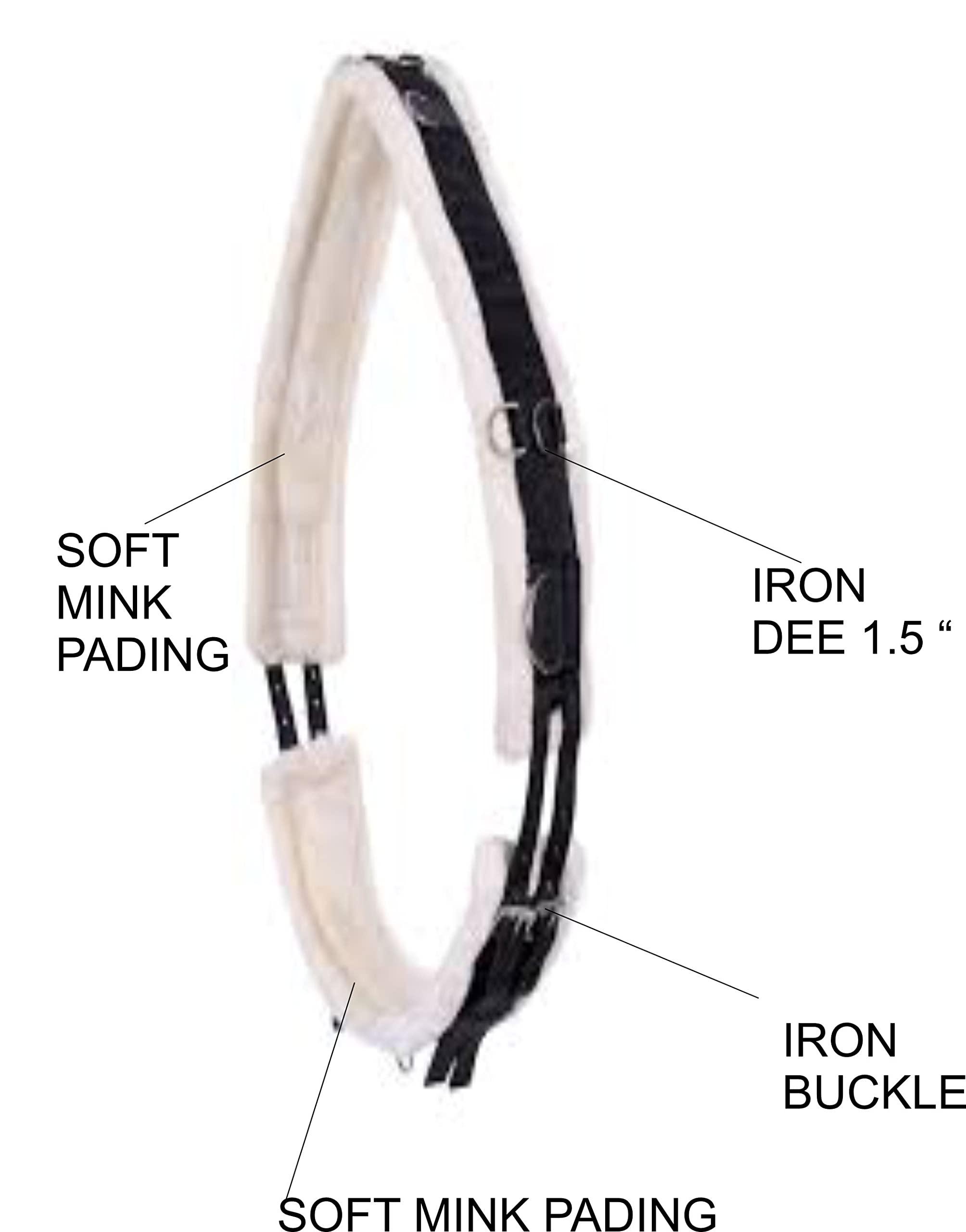 AMARYLLIS AMARYLLIS Corainder/Dhaniya Powder(Hand-Pounded), Natually Processed & 100% Organic with Zero Added Flavours & Colors(Chemical Free) | Rajasthan Special |250 grams