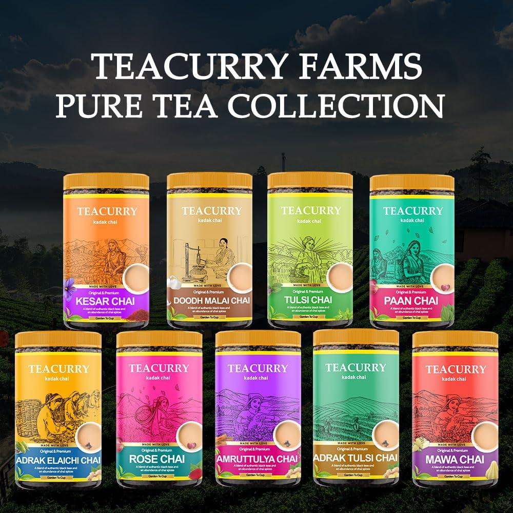 TEACURRY TEACURRY Bombay Masala Chai (200 Grams, 100 Cups) - Mumbai Spiced Tea for Digestion and Immunity - 100% Natural Flavoured Tea with Real Spices | Refreshing & Tasteful Bombay Masala Flavor Chai Tea
