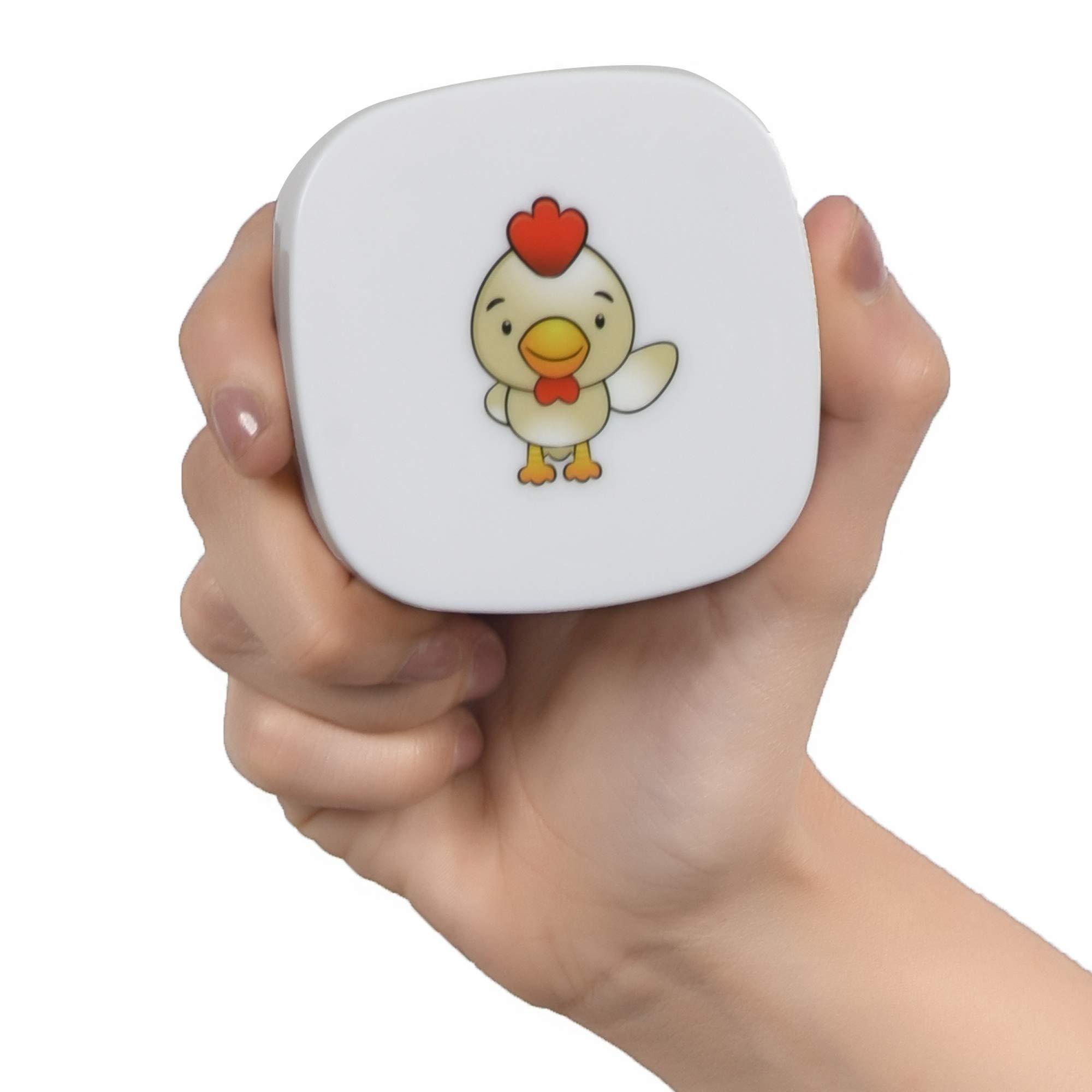 The Himalayan The Himalayan Malta (Orange) Squash| Orange Crush Syrup| Concentarte| No Added Color| Immunity Booster - 750 ml