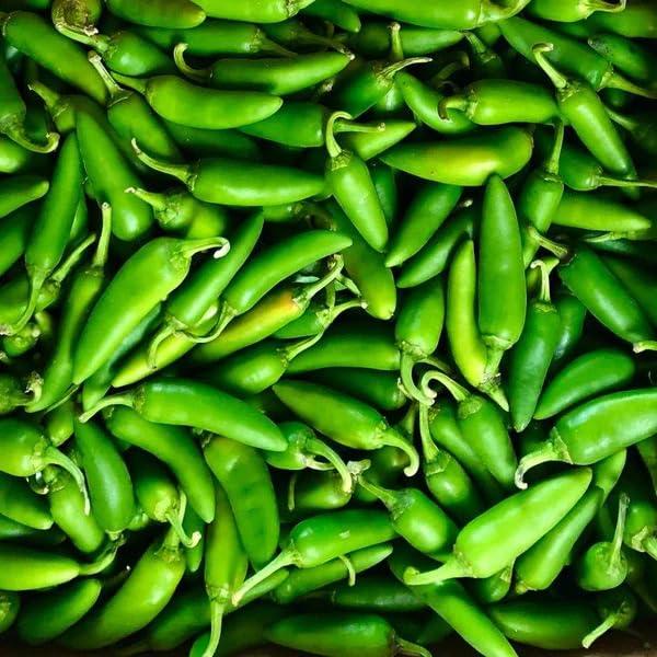 Generic Kanthari Chilli (Bird Eye Chilli, Kanthari Mulaku) Green, Red Pack of 160 Seeds