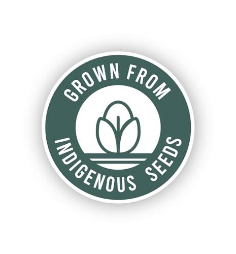 FOLK HARVEST DALLE KHURSANI CHILLI