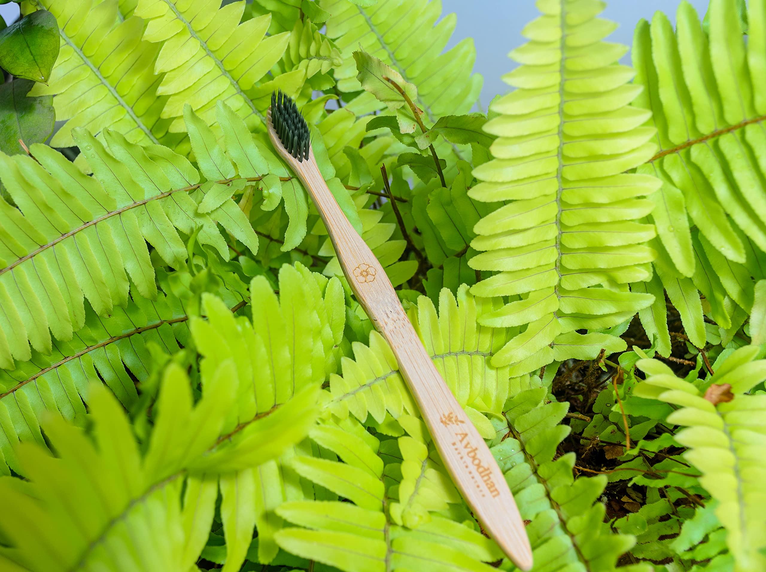 AQUALENS CONTACT LENSES AQUALENS CONTACT LENSES Aquacolor Dusky Brown Candy Pack Zero Power Colored Lenses (2 Lens/Box)